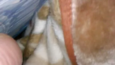Fuck ខ្ញុំនិង stepmom របស់ខ្ញុំ.